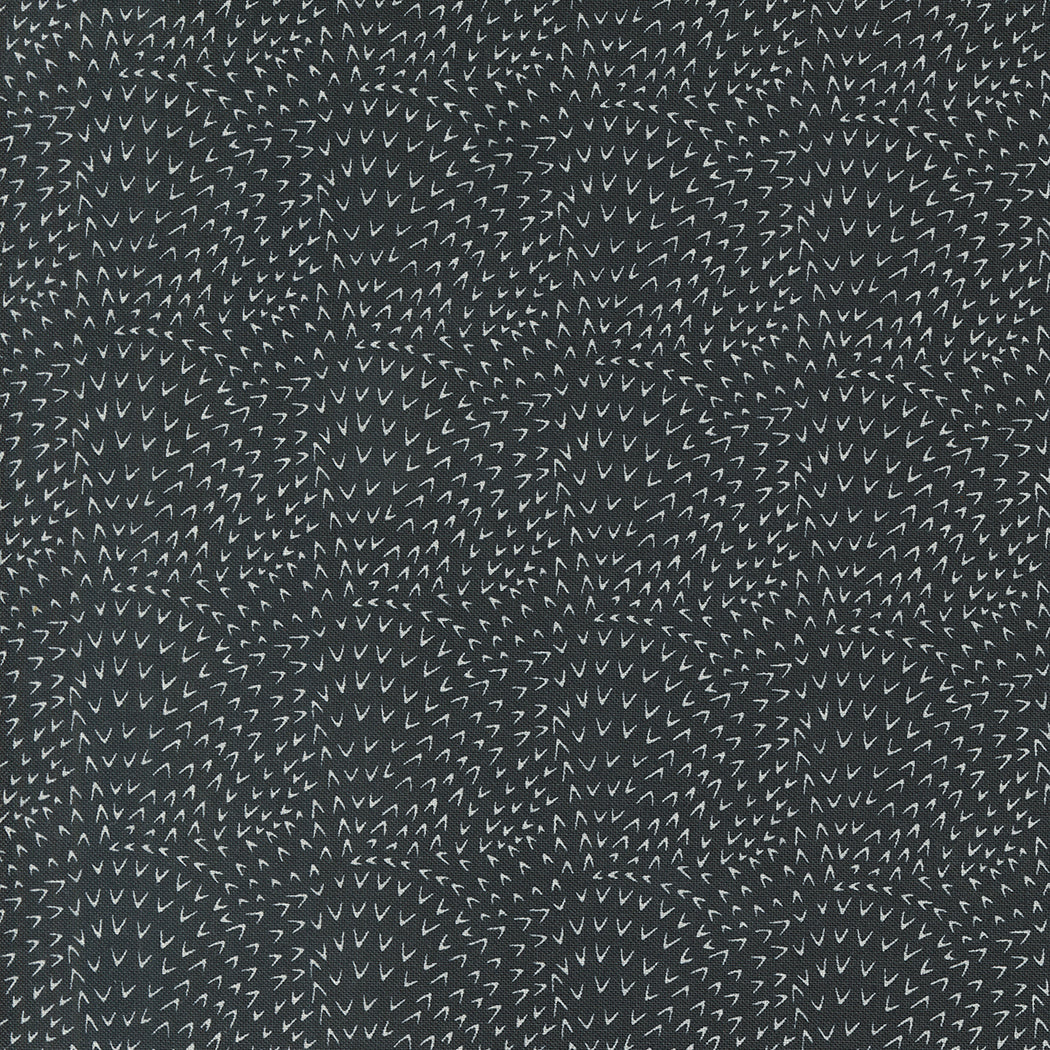 Woodland Wonder by Gingiber : 48396-21 Midnight : Moda
