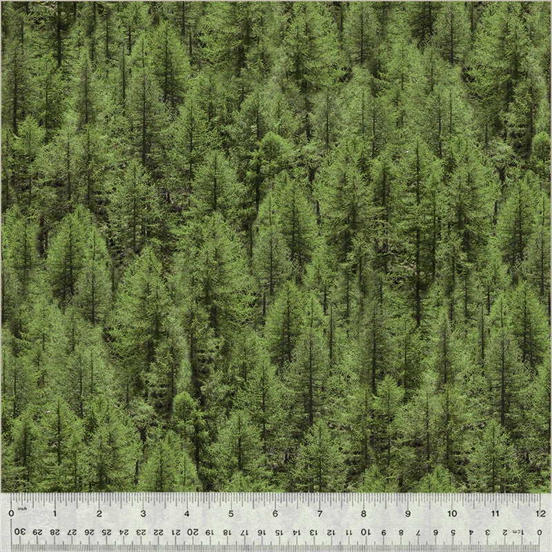 Landscapes by Whistler Studios : Evergreen in Multi : Windham