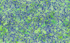 crossroads-80901-72-citrus-green-banyan-batiks