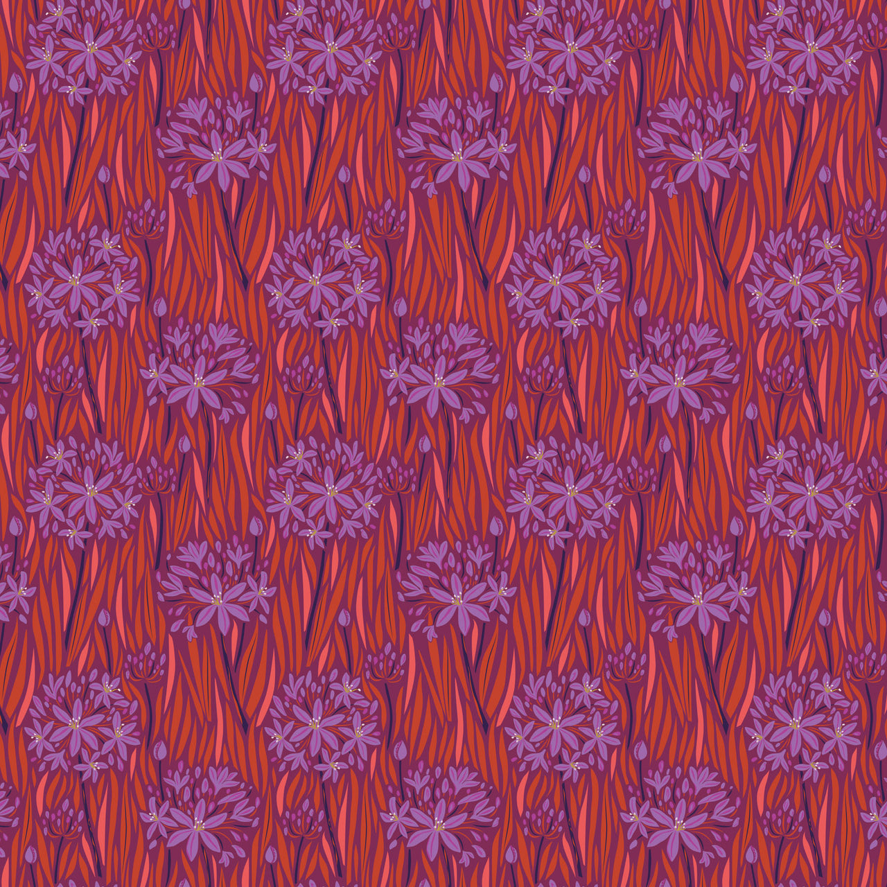 Wandering Eye by Kathy Doughty : Agapantha in Warm : Figo