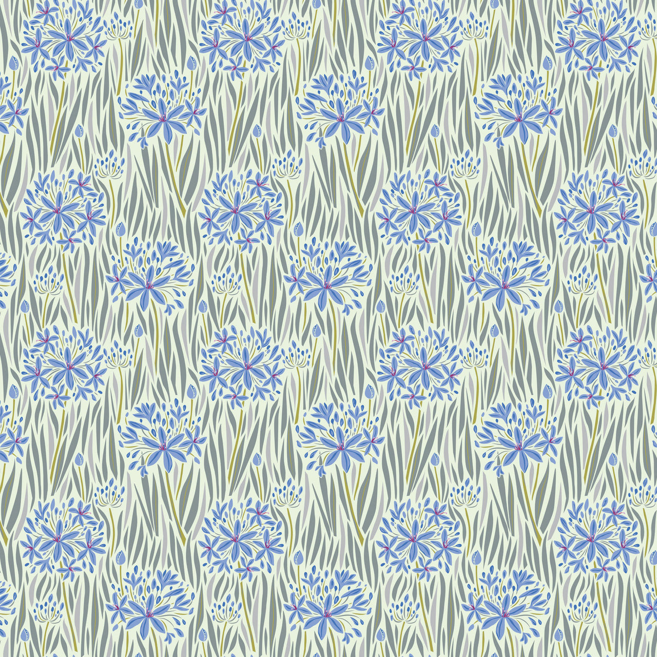 Wandering Eye by Kathy Doughty : Agapantha in Cool : Figo
