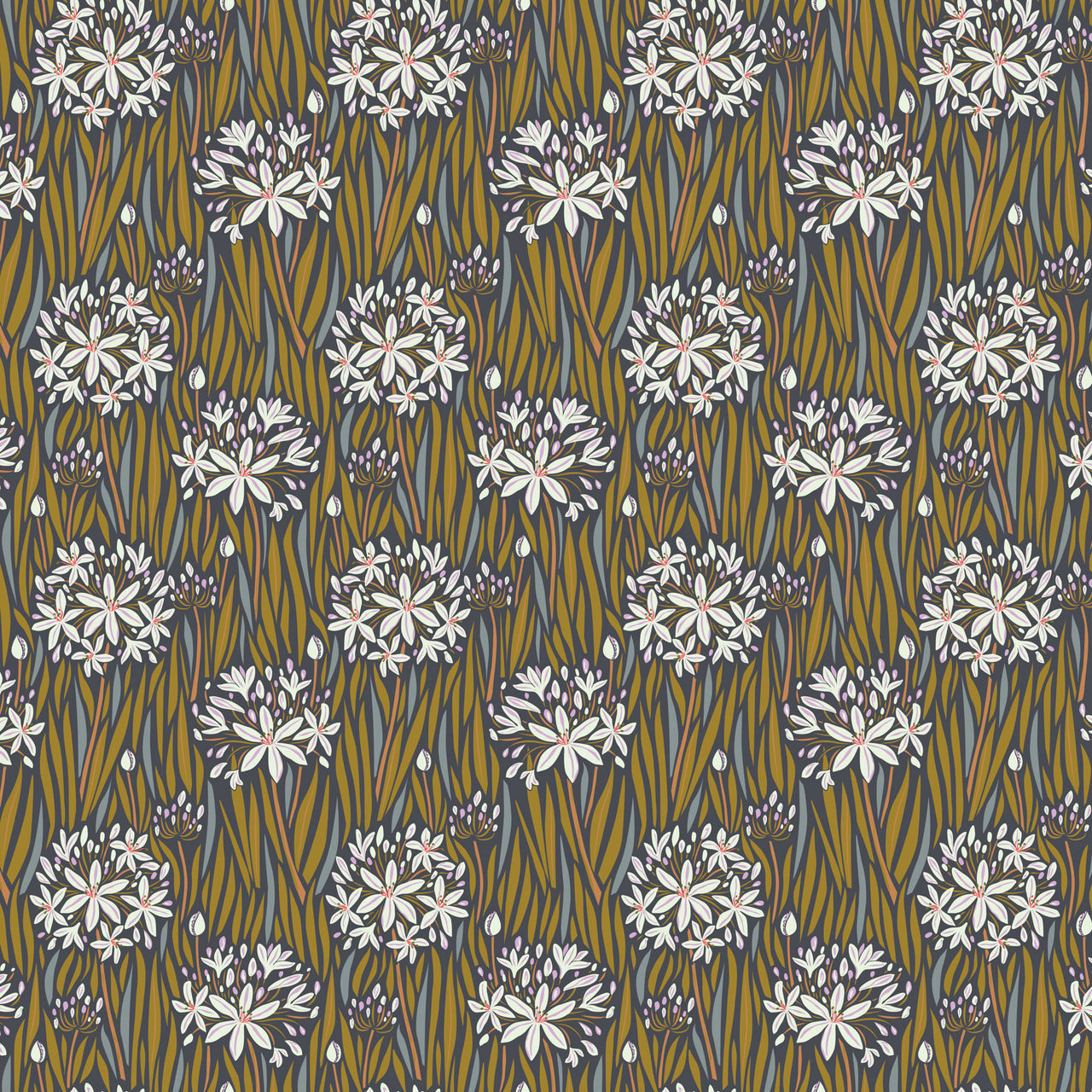 Wandering Eye by Kathy Doughty : Agapantha in Neutral : Figo