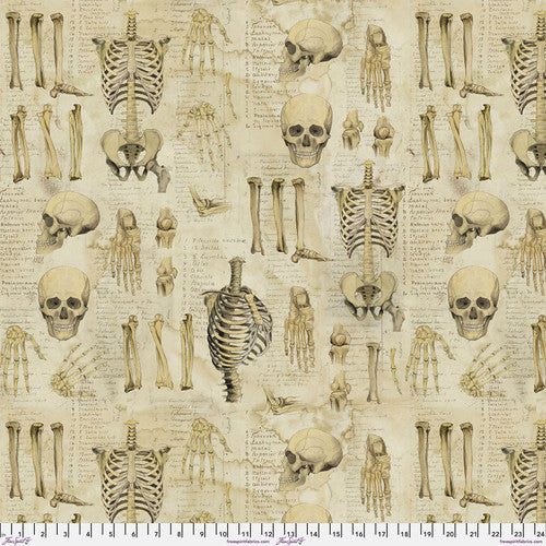 Laboratory by Tim Holtz : Anatomy in Neutral : Free Spirit : Canvas
