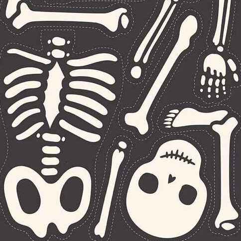 Hey Bootiful by My Mind's Eye : Skeleton Panel : Riley Blake : Panel