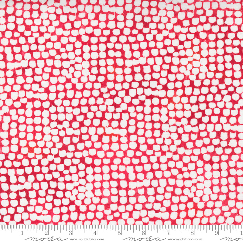 Starflower Christmas by Create Joy Project : 8485-16 Red : Moda