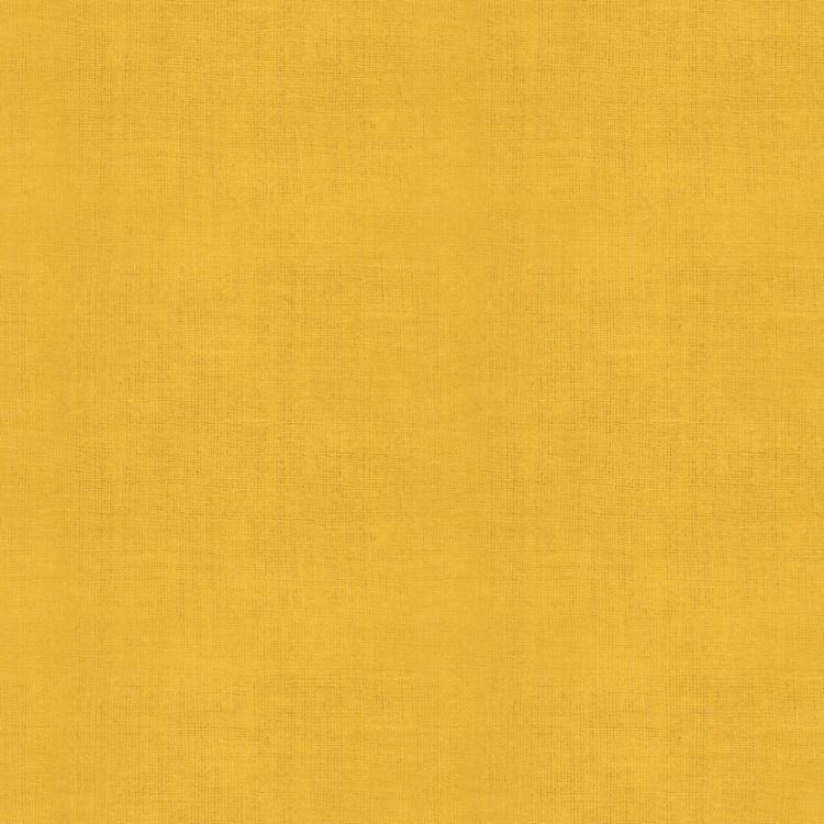 Warp Weft Honey by Alexia Abegg : RS4015-20 Goldenrod : Ruby Star Society