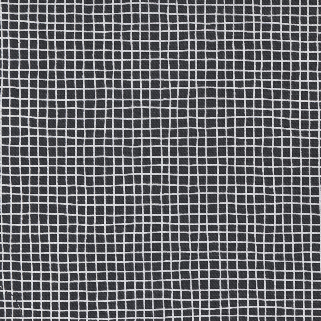 Late October by Sweetwater : 55592-23 Black : Moda
