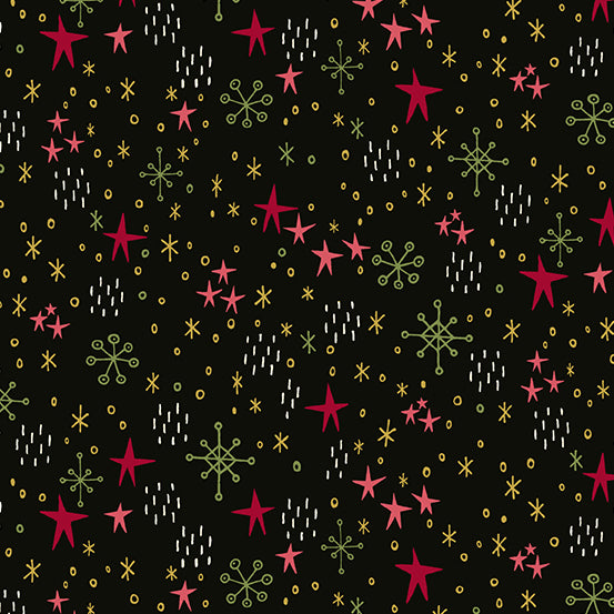 Bird Humbug : First Snow in Midnight : Andover