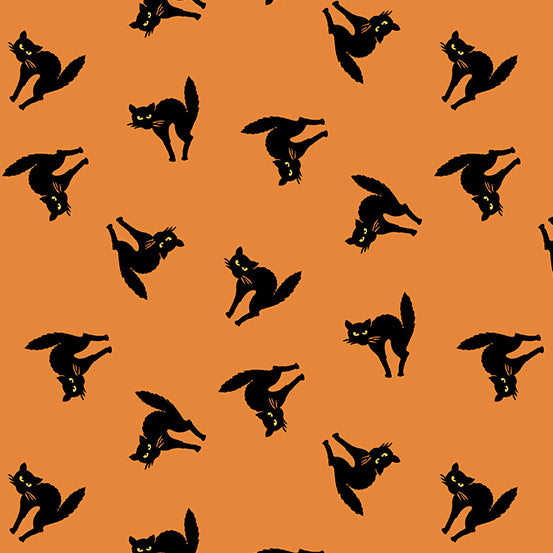 Witchypoo by Renee Nanneman : A-255-O : Andover