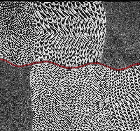 Bush Onion Dreaming by Jean Nampajinpa Hudson : Black : M & S Textiles