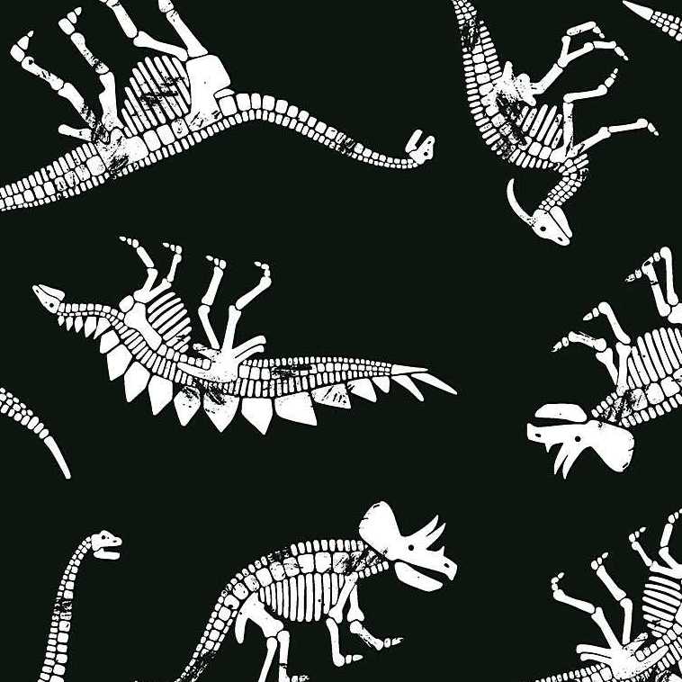 Dinos : CG-8334 : Timeless Treasures : Glow in the Dark