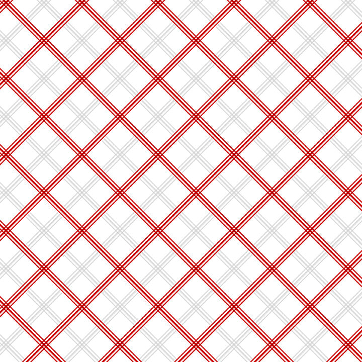 Winter Rendezvous Flannel by Jan Shade Beach : Bias Plaid in Red and White : Henry Glass : Flannel