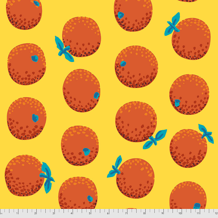 Kaffe Fassett : Oranges in Citrus : Free Spirit