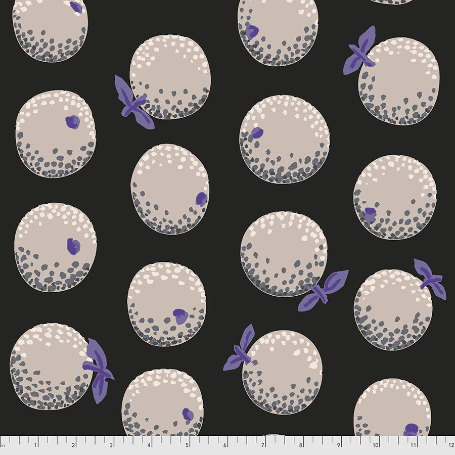 Kaffe Fassett : Oranges in Contrast : Free Spirit