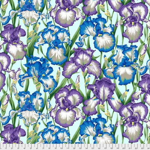 Philip Jacobs : Bearded Iris in Cool : Free Spirit