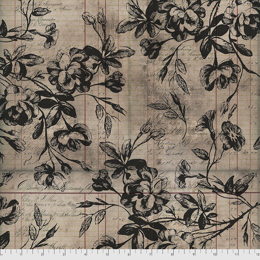 Regions Beyond by Tim Holtz : Beloved in Neutral : Free Spirit