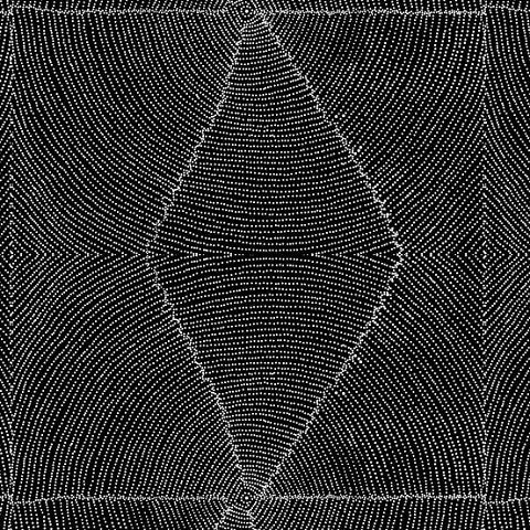 Plum Seeds in Black by Kathleen Pitjara : M & S Textiles