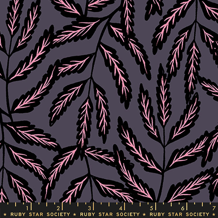 Florida Vol 2 by Sarah Watts : Wild in Black : Ruby Star Society : Rayon