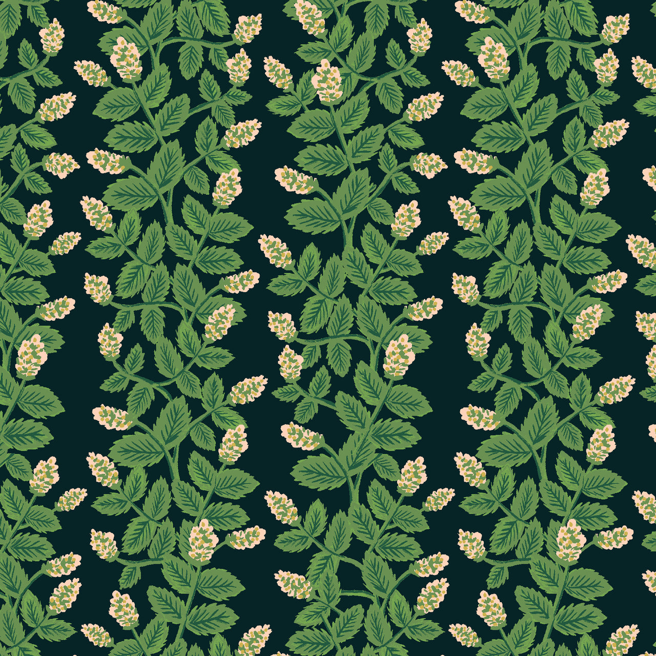 Primavera by Rifle Paper Co : Climbing Vines in Black : Cotton and Steel