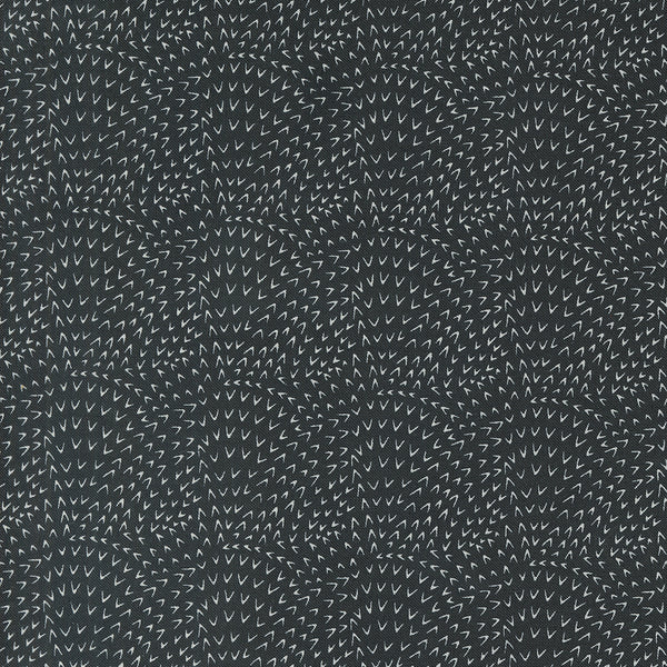 Woodland Wonder by Gingiber : 48396-21 Midnight : Moda