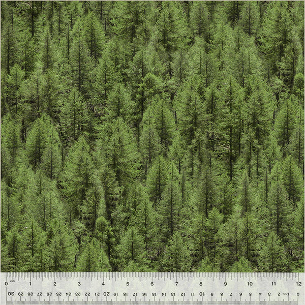 Landscapes by Whistler Studios : Evergreen in Multi : Windham