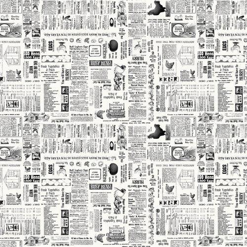 Zooming Chickens by Timna Tarr : Newsprint in Off White : Studio E