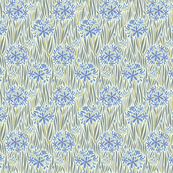 Wandering Eye by Kathy Doughty : Agapantha in Cool : Figo