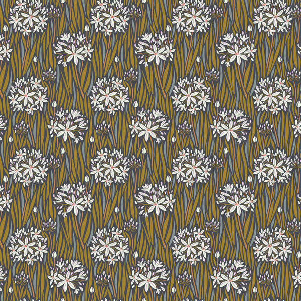 Wandering Eye by Kathy Doughty : Agapantha in Neutral : Figo
