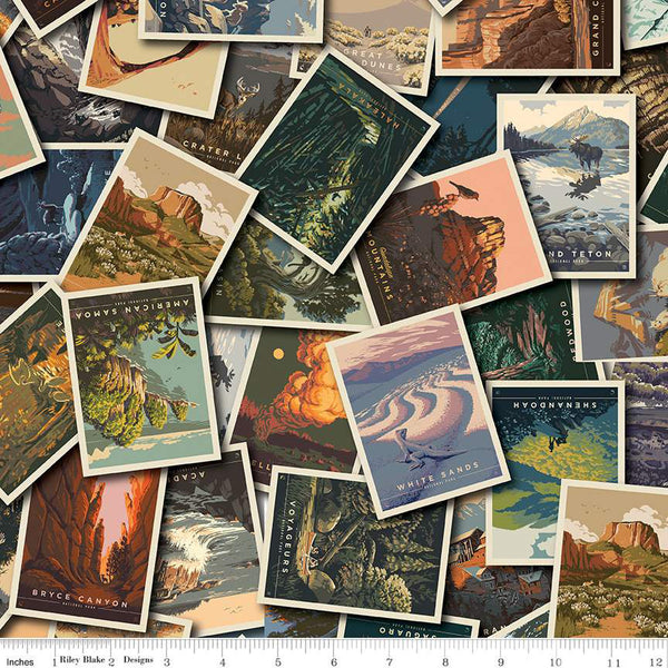 National Parks by Anderson Design Group : Postcard Toss in Multi : Riley Blake