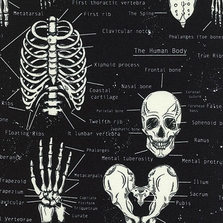Skeletons in Black : CG-9810 : Timeless Treasures : Glow in the Dark
