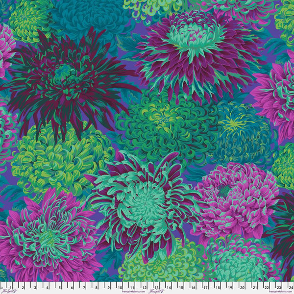 Philip Jacobs : Japanese Chrysanthemum in Green : Free Spirit