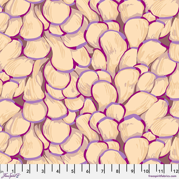 Forage by Martha Negley : Oyster Mushroom in Light : Free Spirit