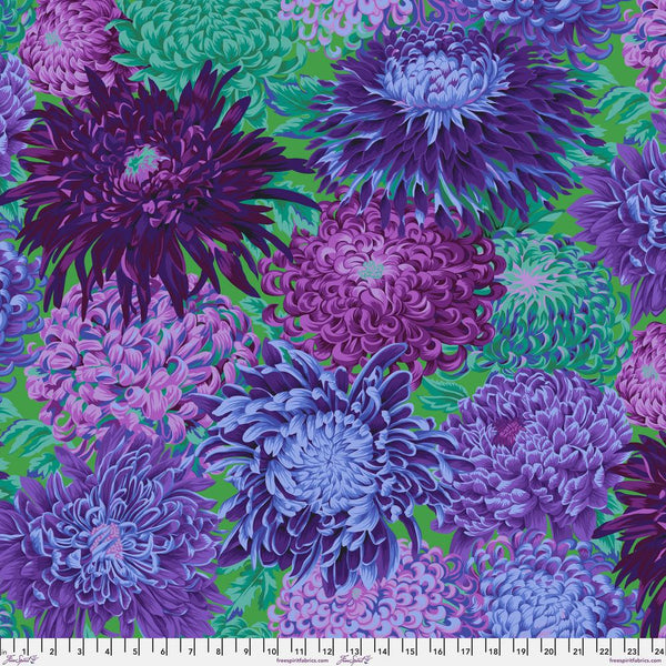 Philip Jacobs : Japanese Chrysanthemum in Purple : Free Spirit