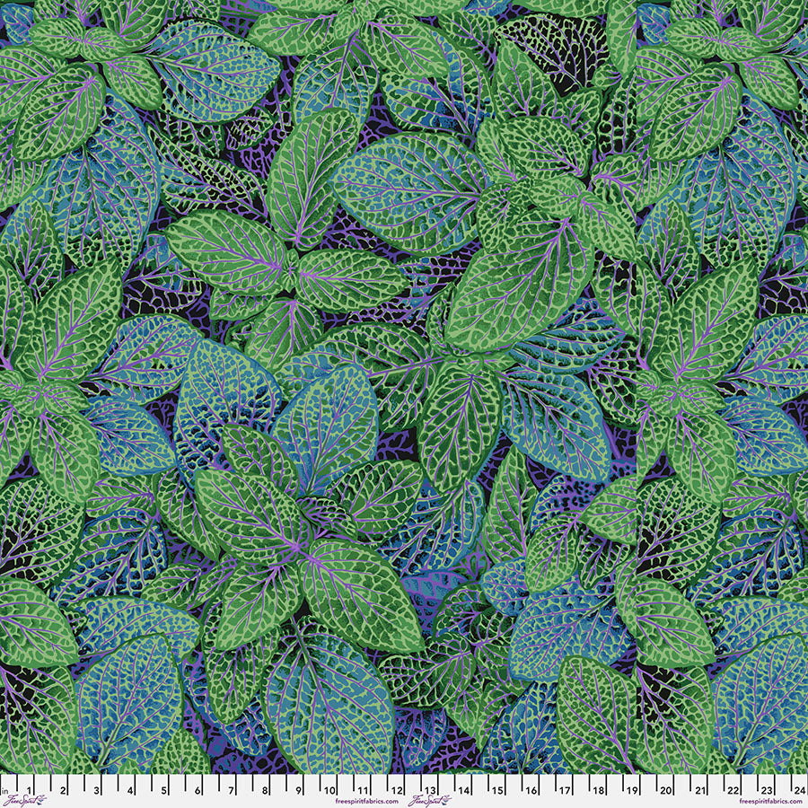 Philip Jacobs : Fittonia in Green : Free Spirit