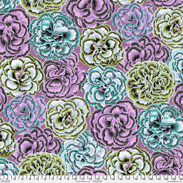 Philip Jacobs : Picotee Carnations in Contrast : Free Spirit
