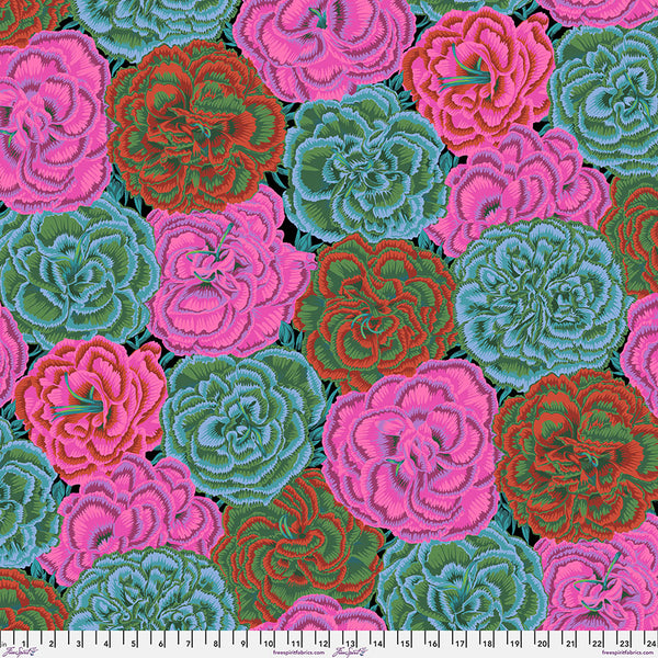 Philip Jacobs : Picotee Carnations in Dark : Free Spirit