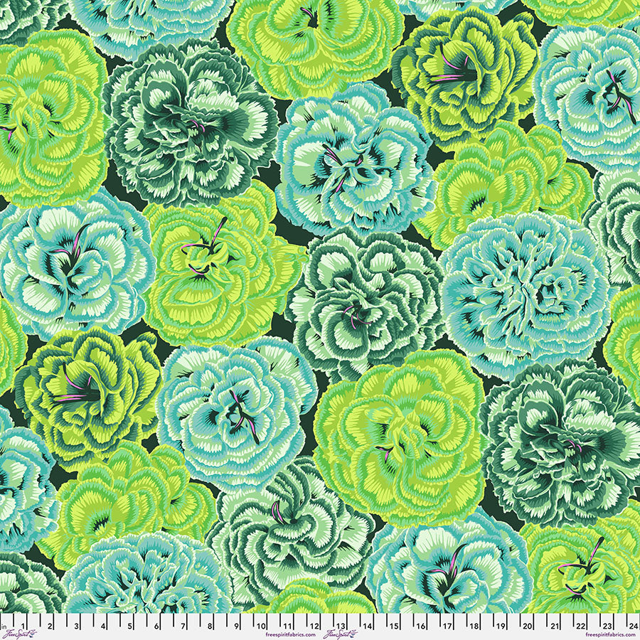 Philip Jacobs : Picotee Carnations in Green : Free Spirit
