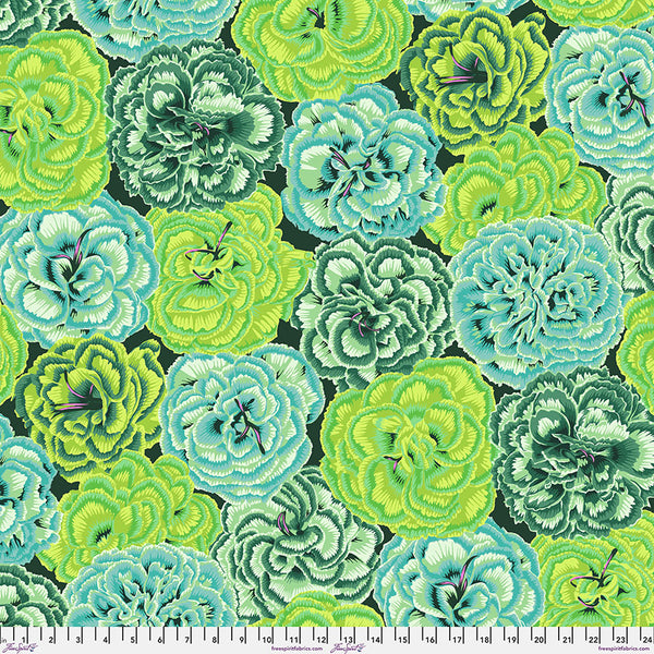 Philip Jacobs : Picotee Carnations in Green : Free Spirit
