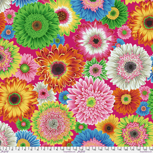 Philip Jacobs : Gerbera Daisies in Bright : Free Spirit