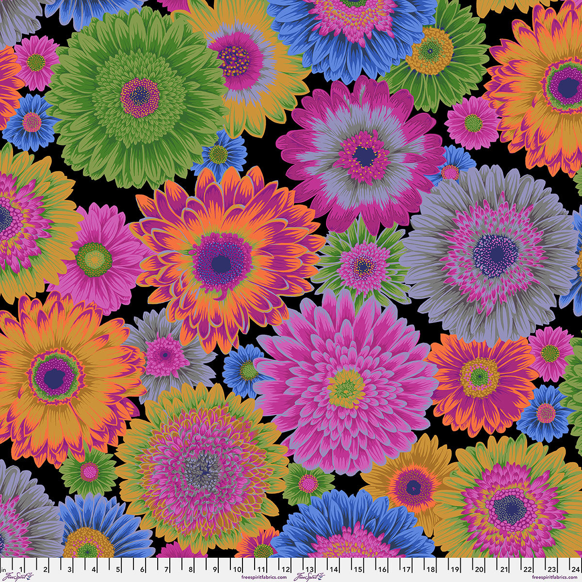 Philip Jacobs : Gerbera Daisies in Dark : Free Spirit