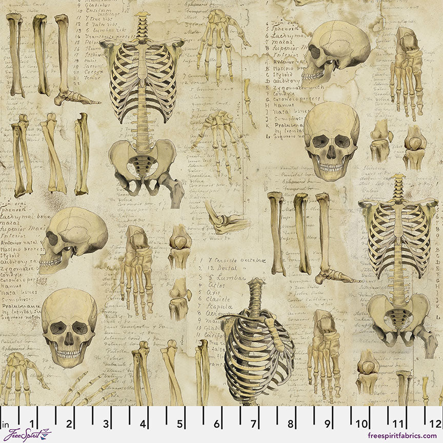 Laboratory by Tim Holtz : Anatomy in Neutral : Free Spirit