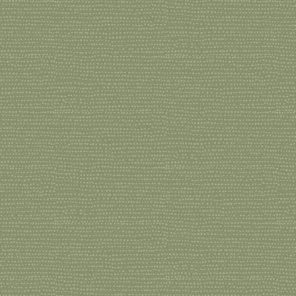 Moonscape in Ivy : Dear Stella