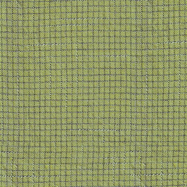 Intervals by Ghazal Razari : Small Check in Lime : Figo