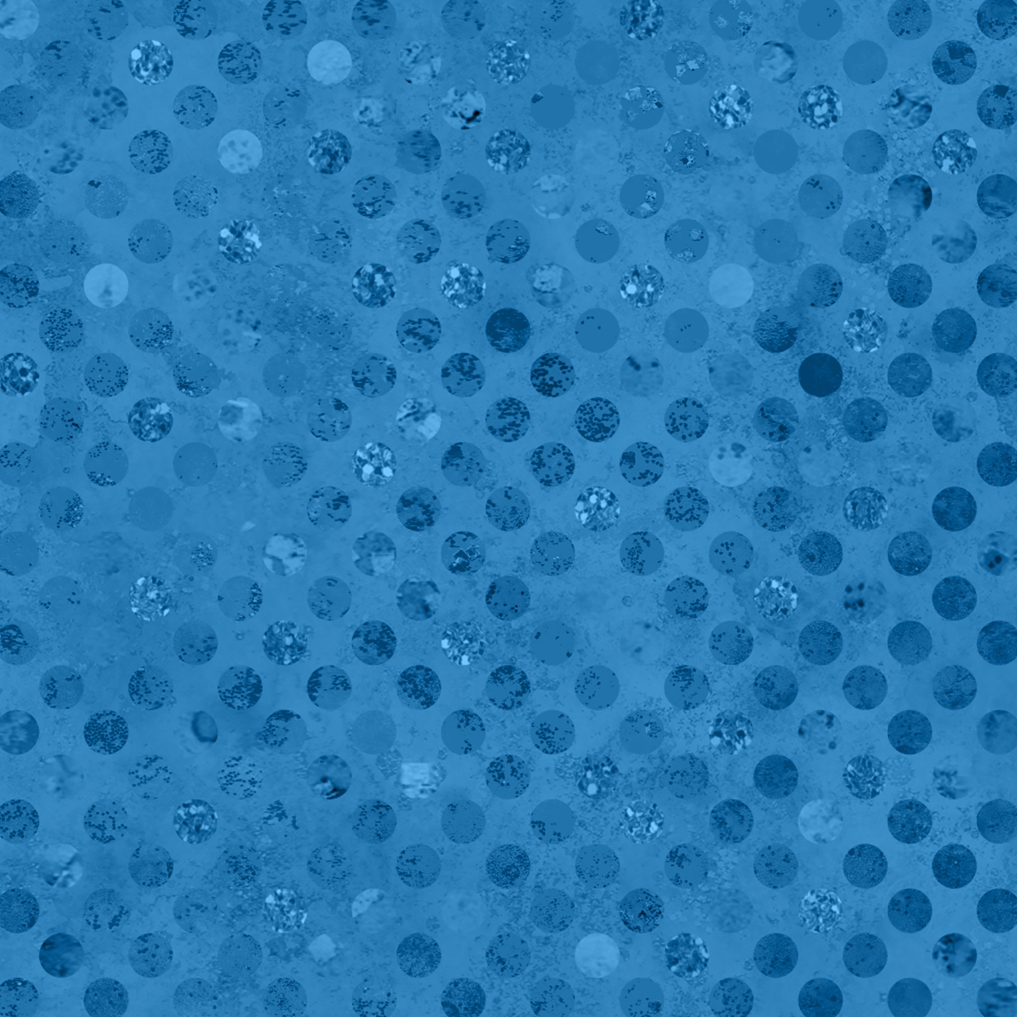 Codici by Heather Seth : Azure : White Owl