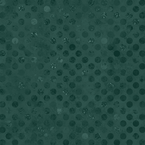 Codici by Heather Seth : Dark Teal : White Owl