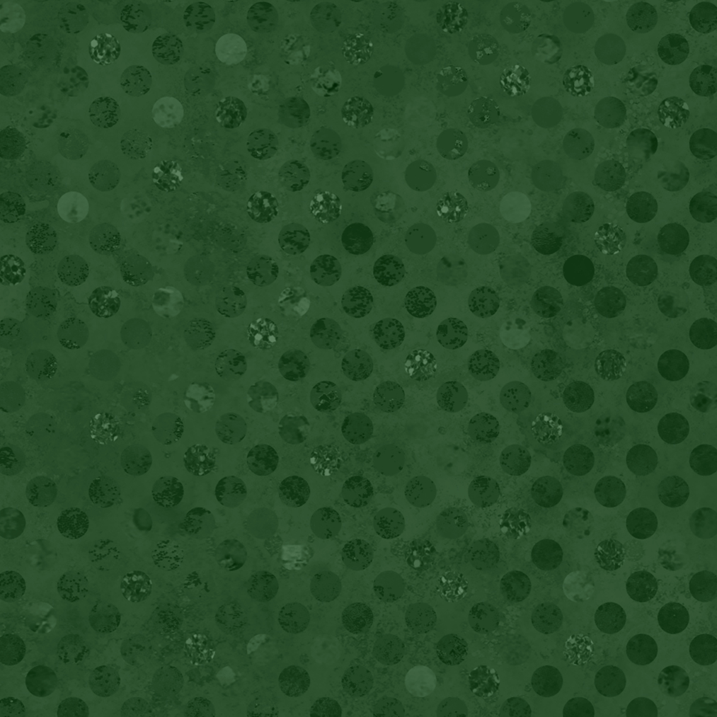 Codici by Heather Seth : Forest : White Owl