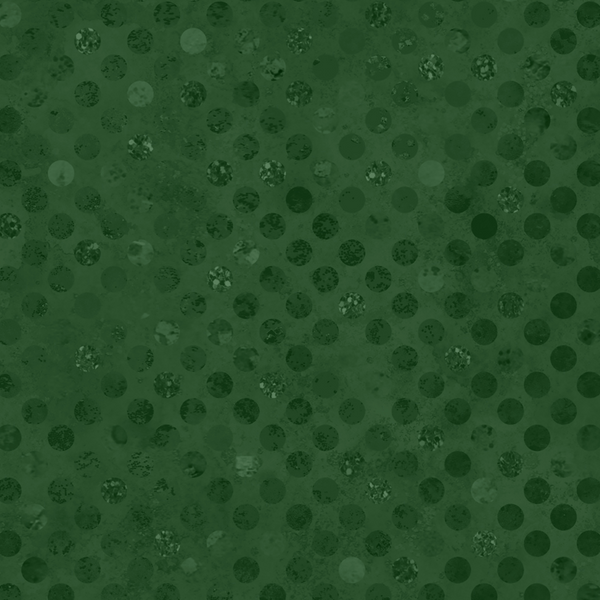 Codici by Heather Seth : Forest : White Owl