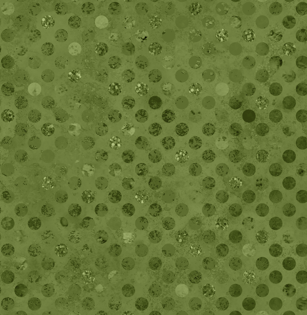 Codici by Heather Seth : Jungle : White Owl