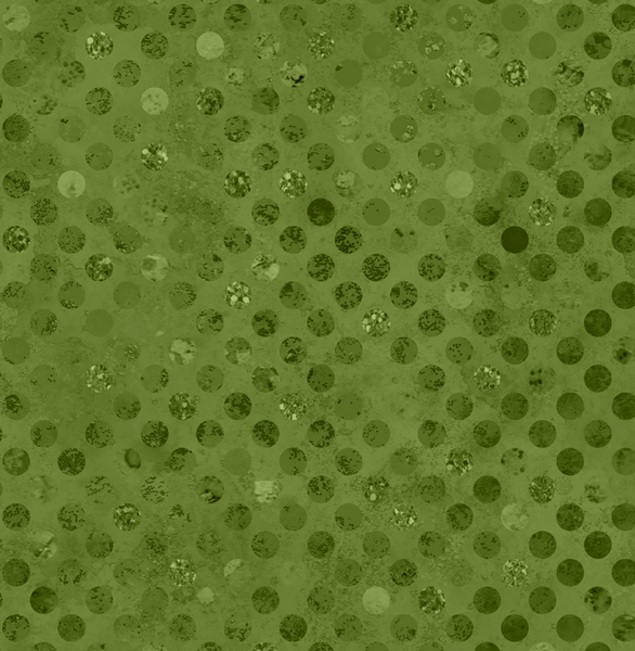 Codici by Heather Seth : Jungle : White Owl