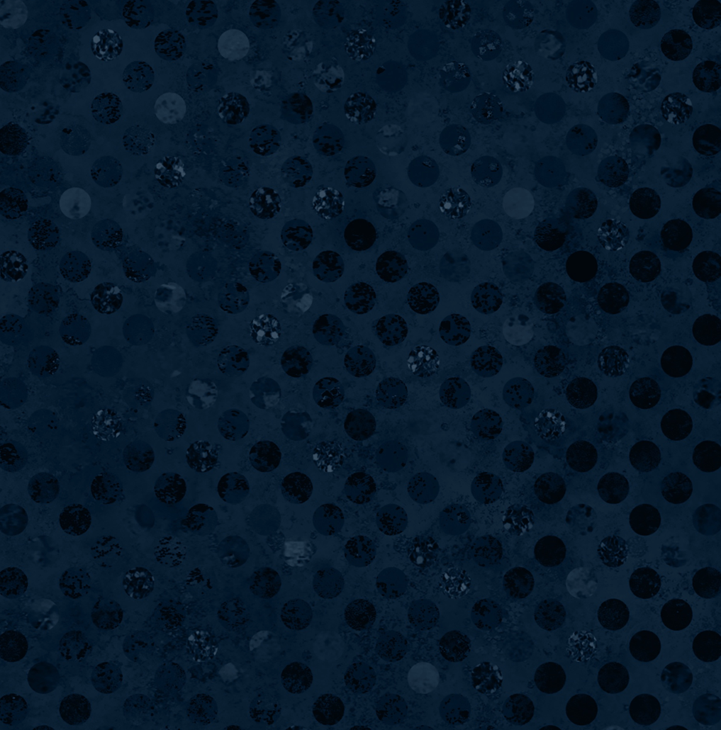 Codici by Heather Seth : Navy : White Owl